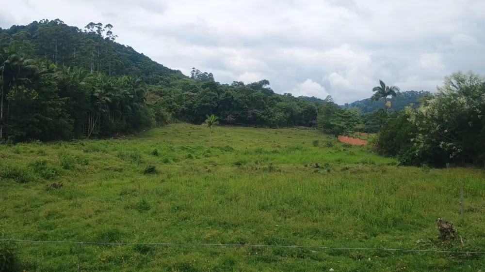 TERRENO 42.000M2 - FRENTE COM 56 METROS - INDAIAL - foto 1