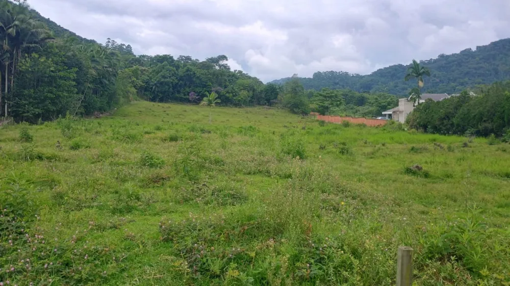 TERRENO 42.000M2 - FRENTE COM 56 METROS - INDAIAL — foto 2