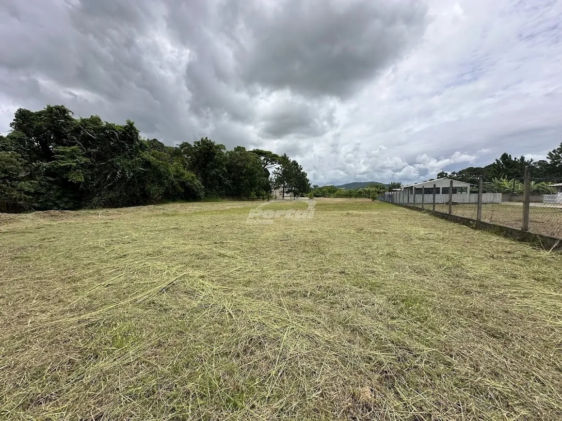 Excelente terreno de 6.000,00m no bairro Armação do Itapocoroy em Penha/SC (Cód. 20638) — foto 6