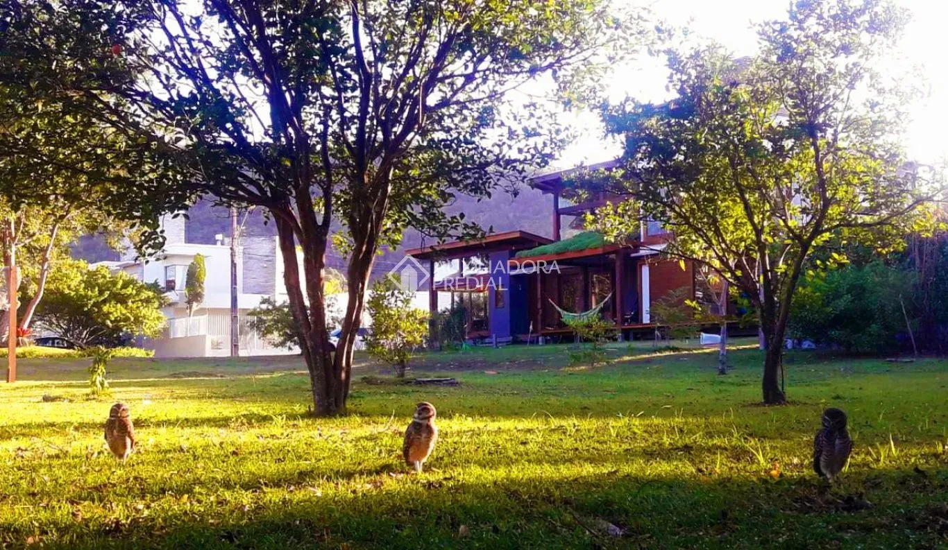 Imóvel — foto 3