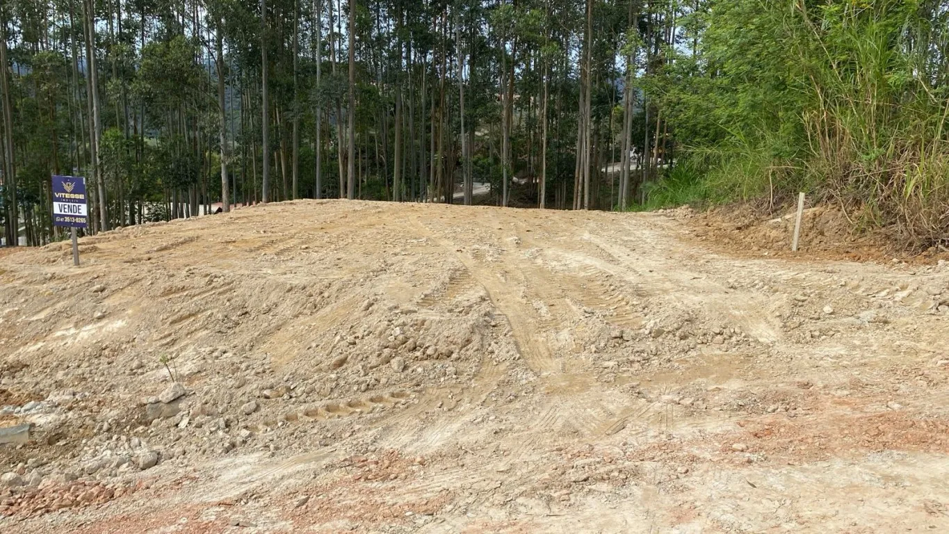 Terreno com 12 metros de frente — foto 4
