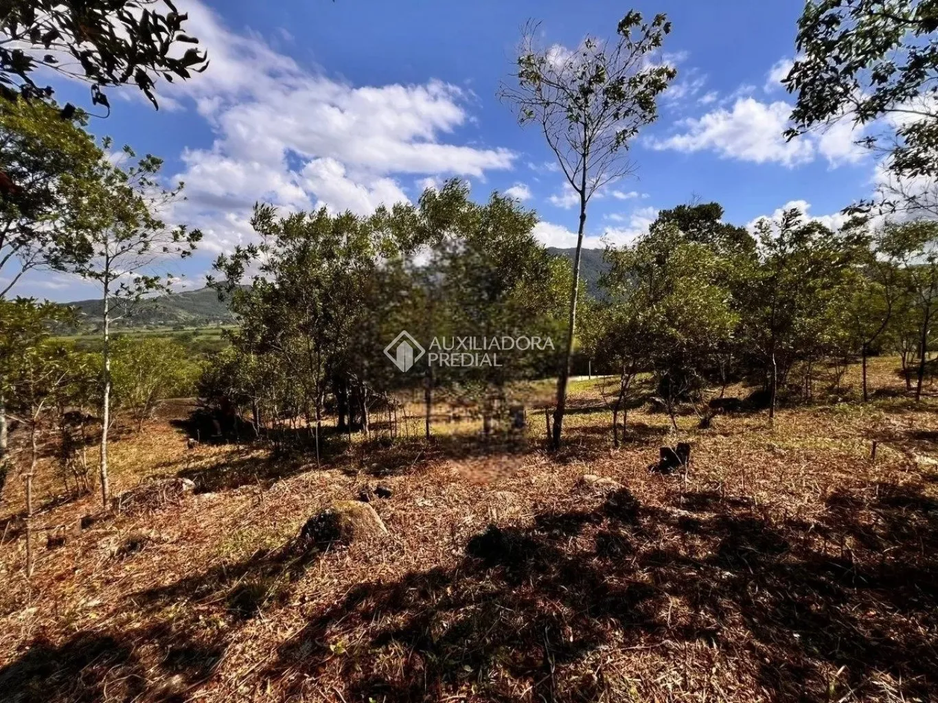 Imóvel — foto 3