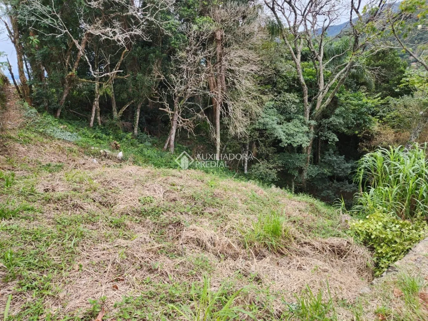 Imóvel — foto 6