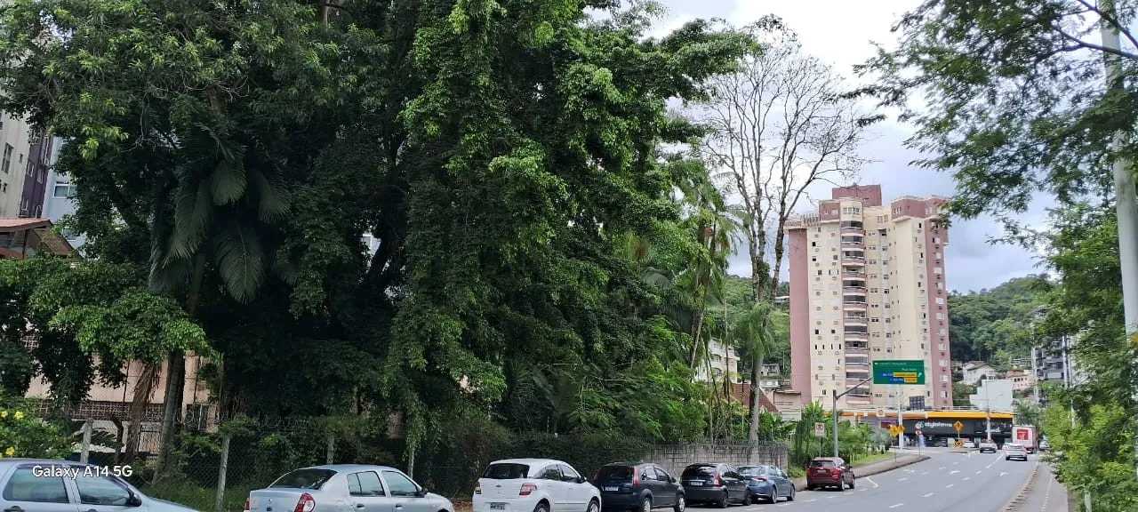 Ótimo terreno para investidores e empreendedores no Bairro Ponta Aguda em Blumenau, SC. — foto 5