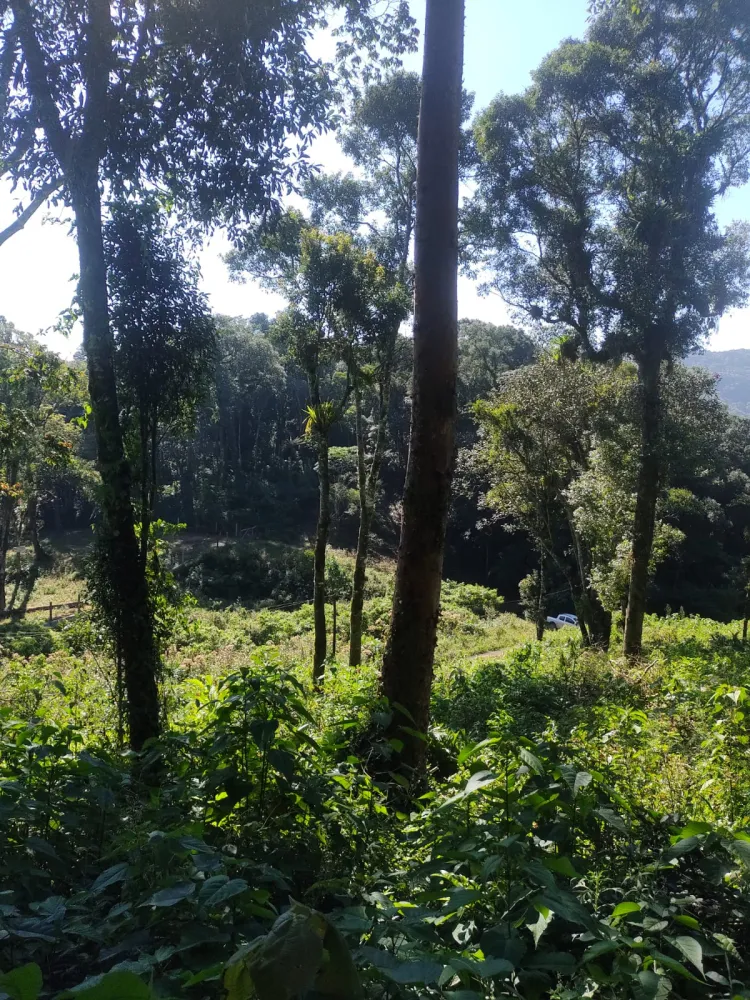 Terrenos Com Vista Para Lagoa em Rio dos Cedros - foto 1