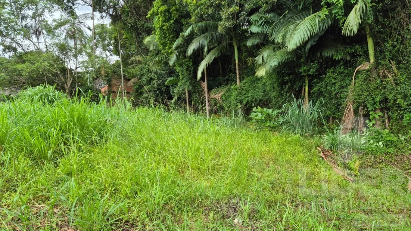Terreno no bairro do Sol contestada com 23,72m de frente — foto 4