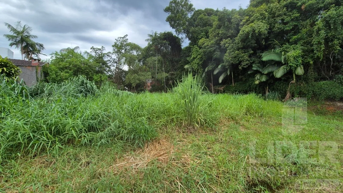 Terreno no bairro do Sol contestada com 23,72m de frente — foto 6