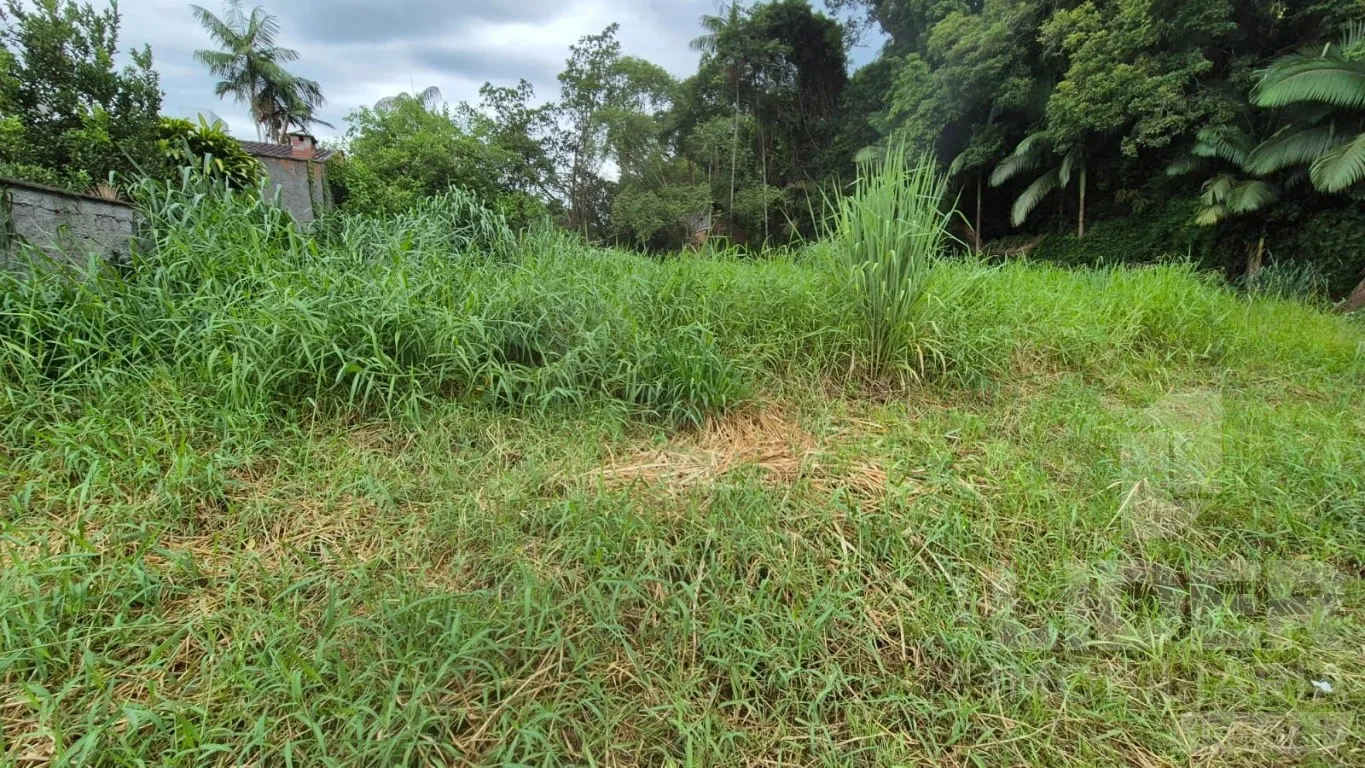 Terreno no bairro do Sol contestada com 23,72m de frente — foto 7