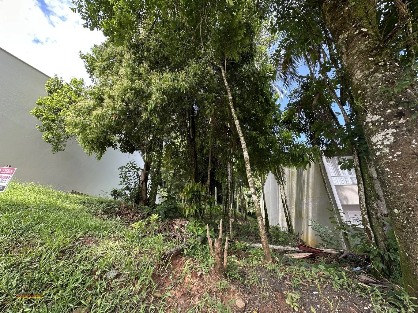 Terreno residencial (perfeito para construção de casas geminadas). — foto 6