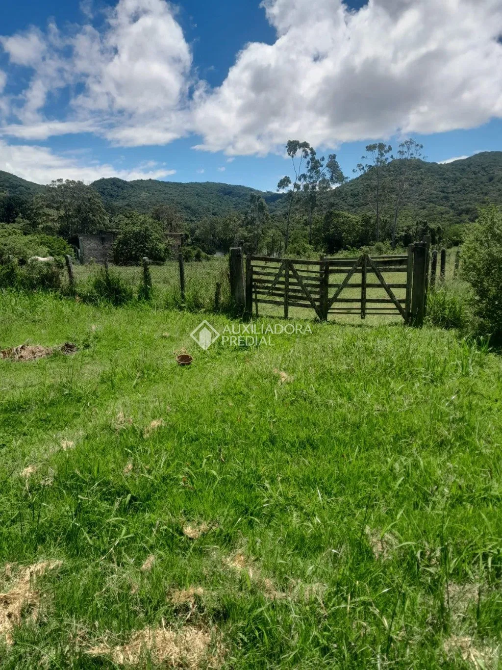 Imóvel Rural à venda, 5280m² na Bento Manoel Ferreira no Ratones, Florianópolis — foto 6