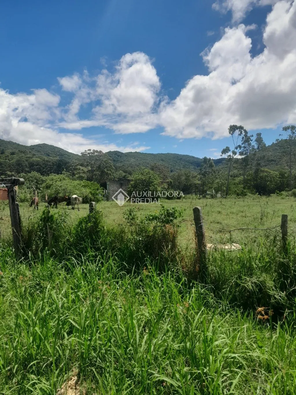 Imóvel Rural à venda, 5280m² na Bento Manoel Ferreira no Ratones, Florianópolis — foto 7
