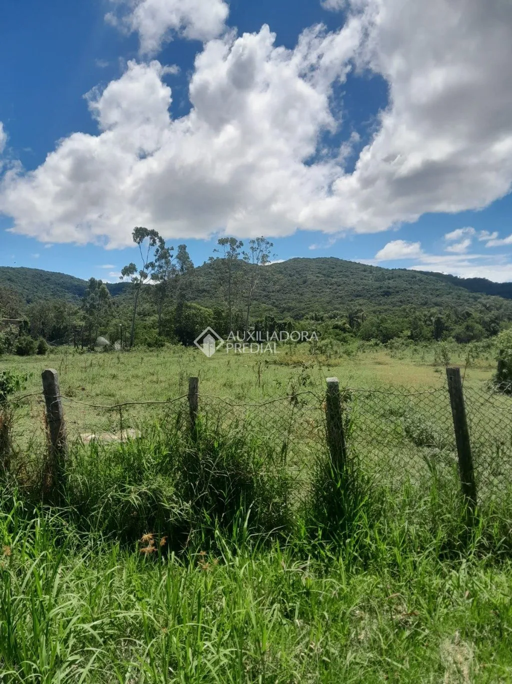 Imóvel Rural à venda, 5280m² na Bento Manoel Ferreira no Ratones, Florianópolis — foto 2