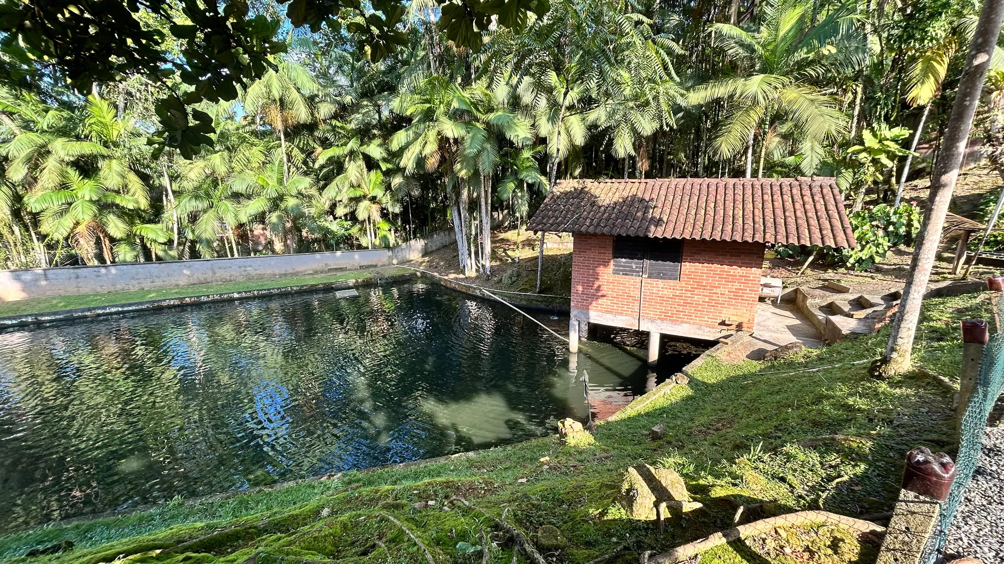 Sítio Testo Rega — foto 3