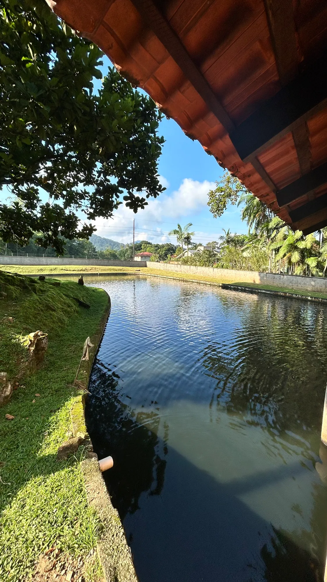 Sítio Testo Rega — foto 4