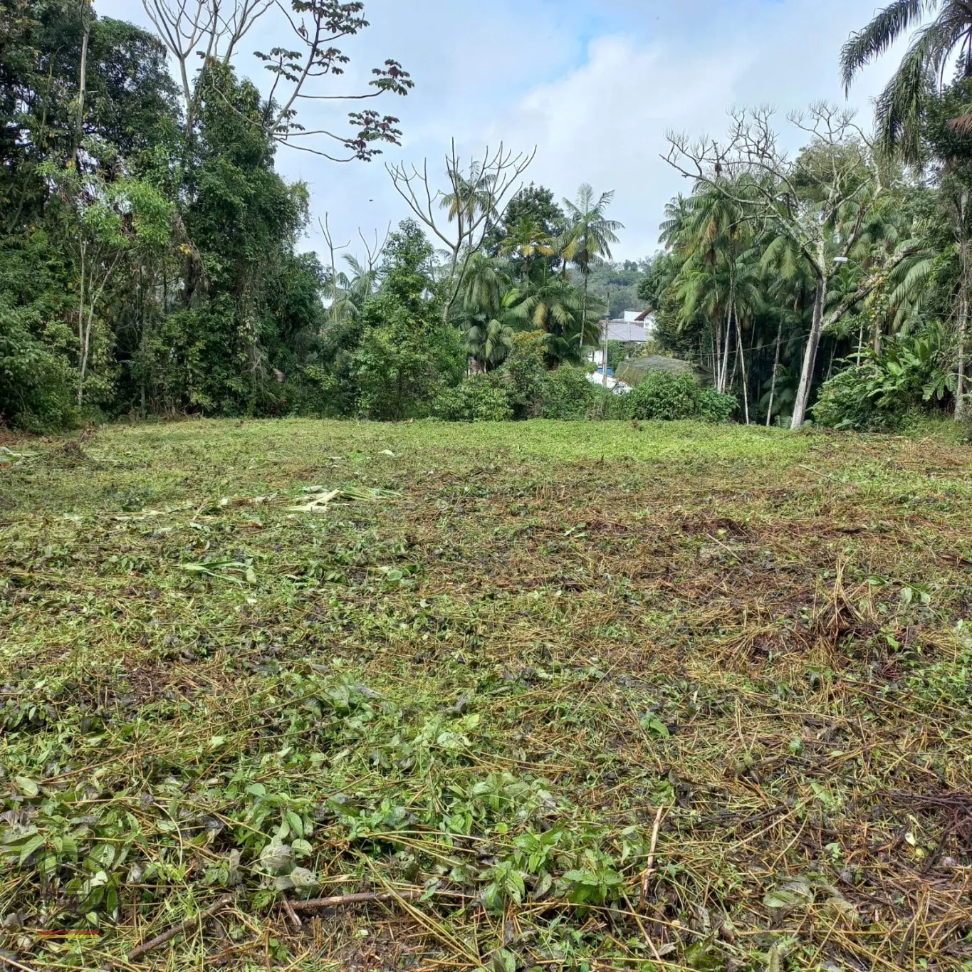 Excelente Terreno Comercial na Região do Sesc Salto do Norte Blumenau (SC) - foto 1