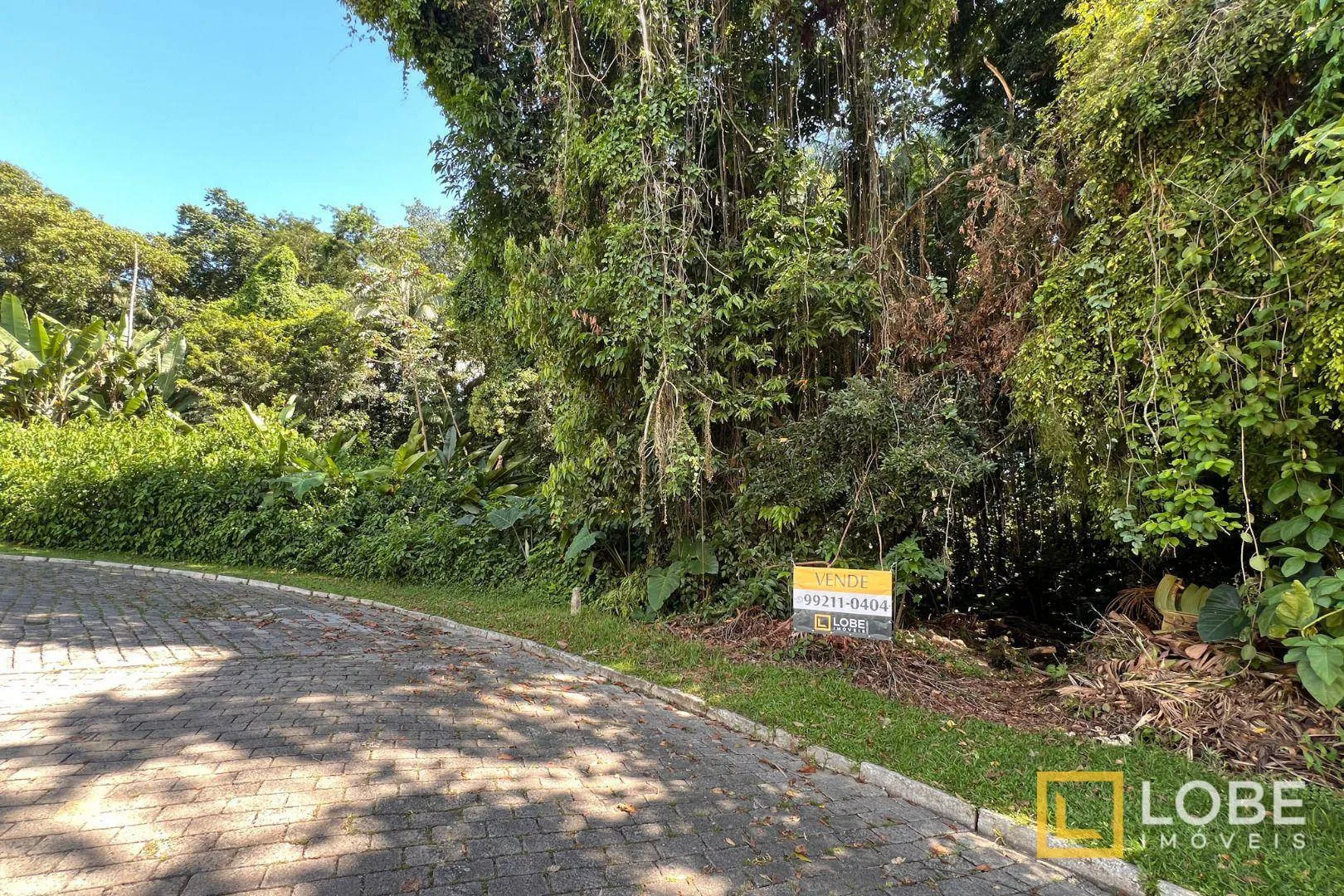 Terreno à venda, 6692 m por R$ 2.300.000,00 - Itoupava Seca - Blumenau/SC — foto 2