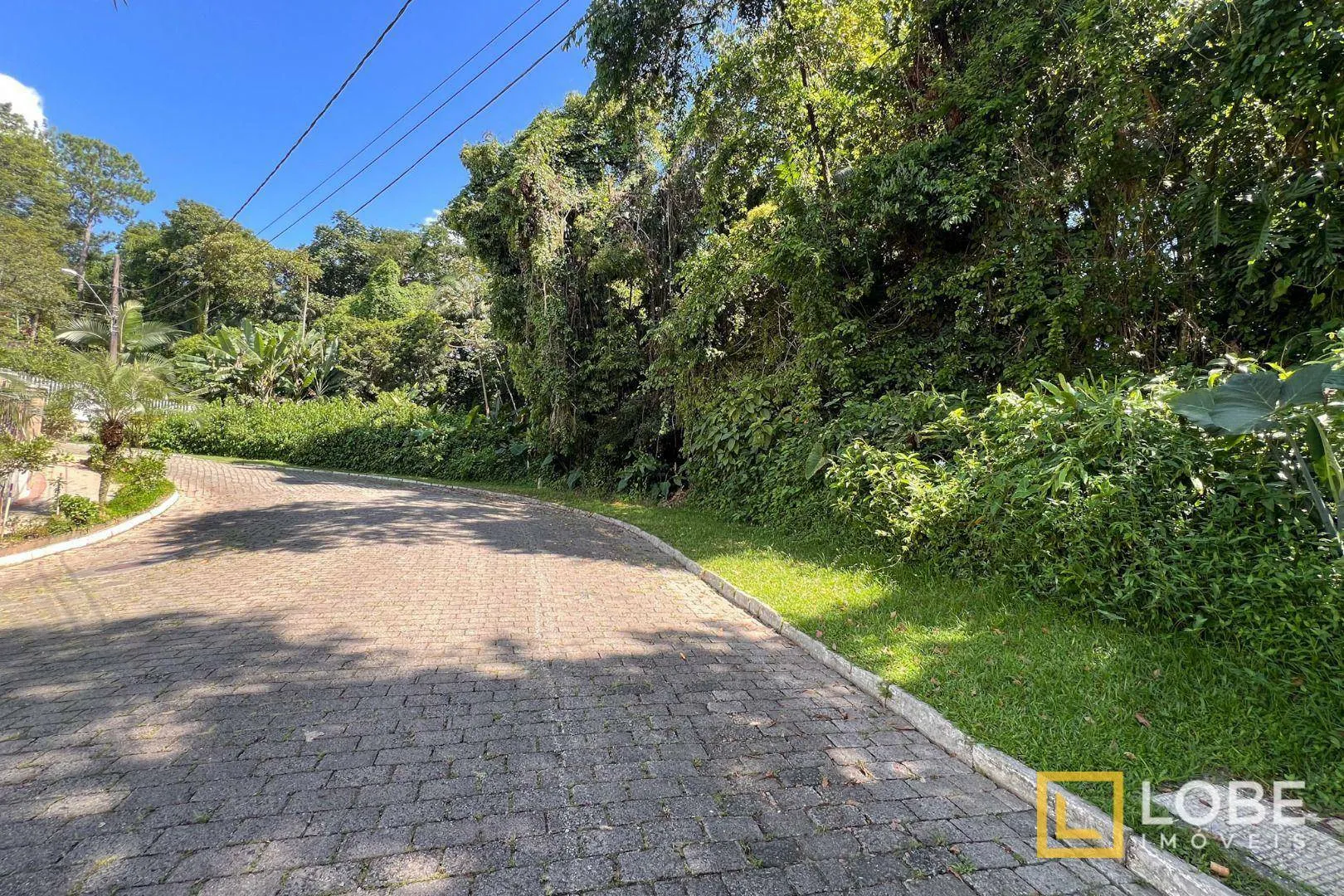 Terreno à venda, 6692 m por R$ 2.300.000,00 - Itoupava Seca - Blumenau/SC — foto 4