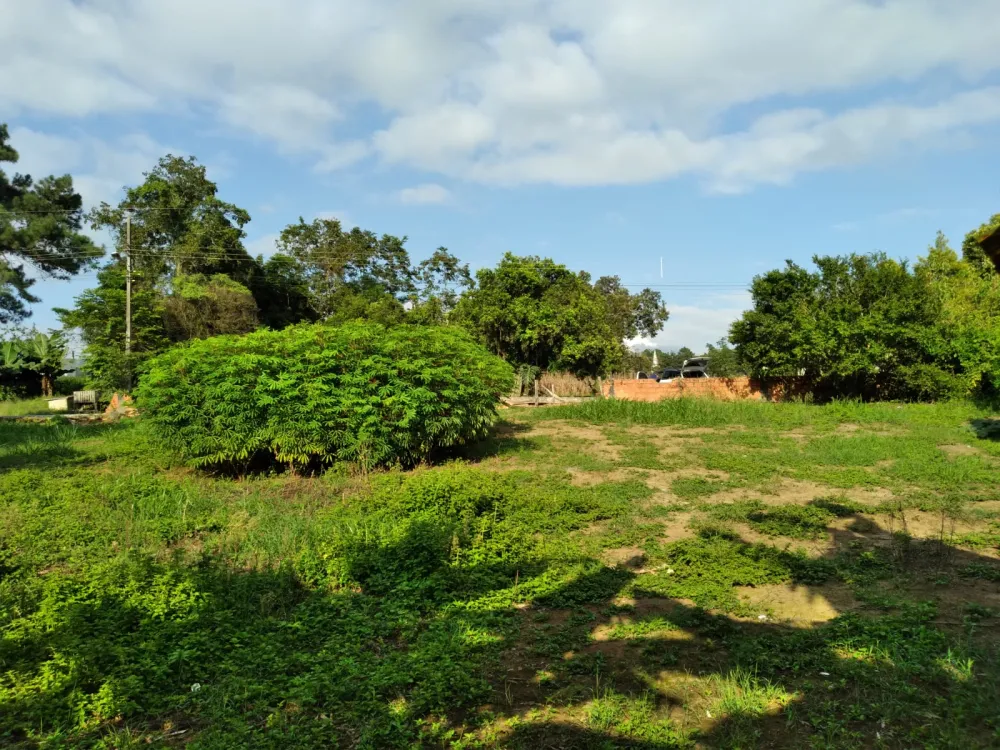 TERRENO NA CIDADE DE AGRONÔMICA/SC - RS 375.000,00 - foto 1