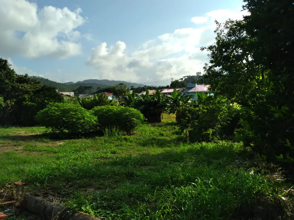 TERRENO NA CIDADE DE AGRONÔMICA/SC - RS 375.000,00 — foto 3