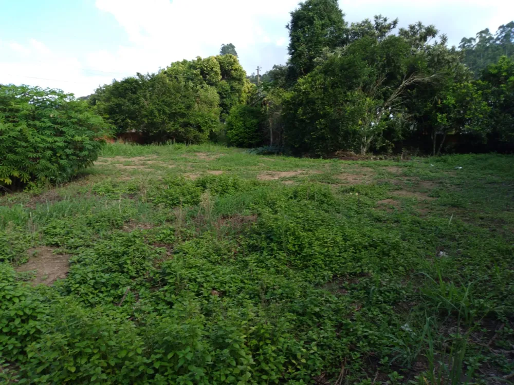 TERRENO NA CIDADE DE AGRONÔMICA/SC - RS 375.000,00 — foto 4