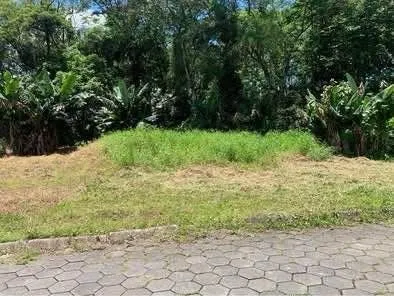 VENDO TERRENO — foto 2
