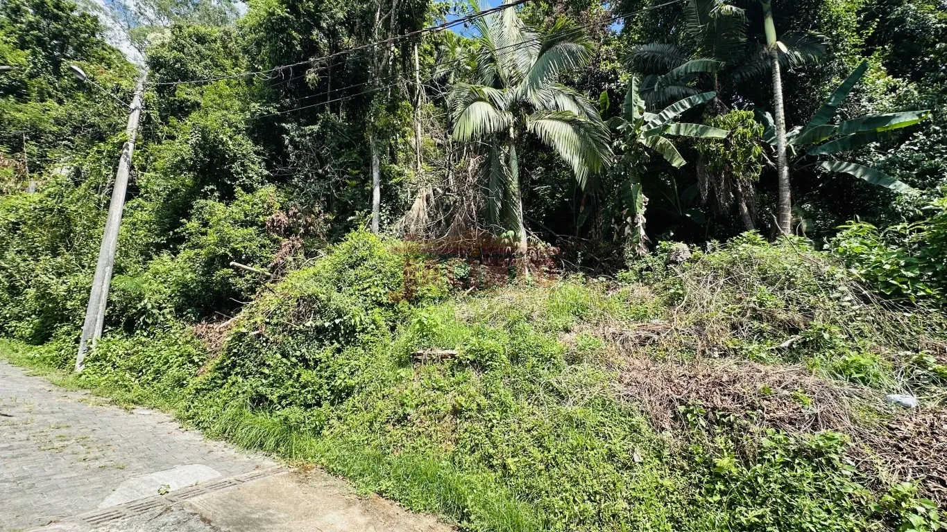 TERRENO À VENDA NA RUA DAS MISSÕES NO BAIRRO PONTA AGUDA, BLUMENAU/SC. - foto 1