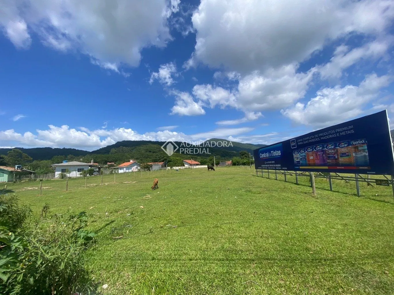 Imóvel — foto 6