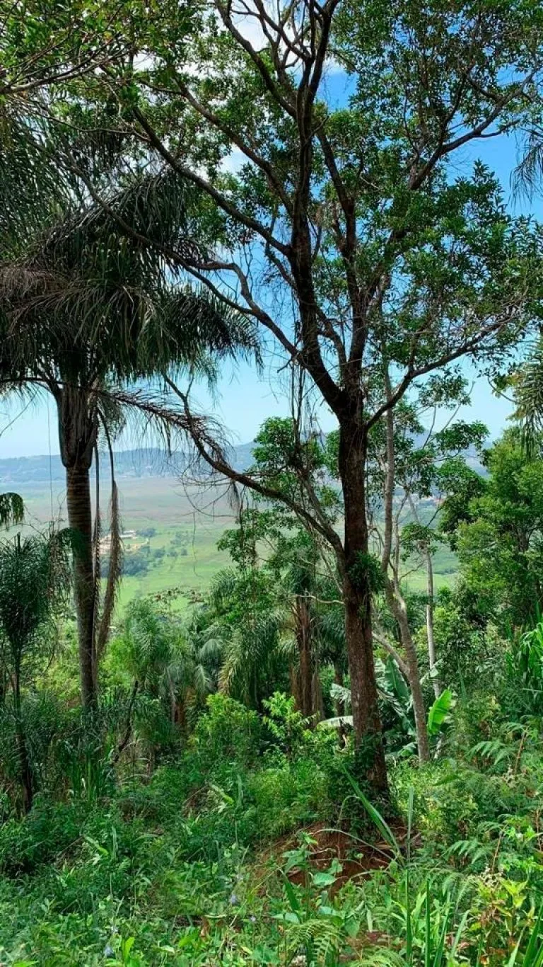 Imóvel — foto 4