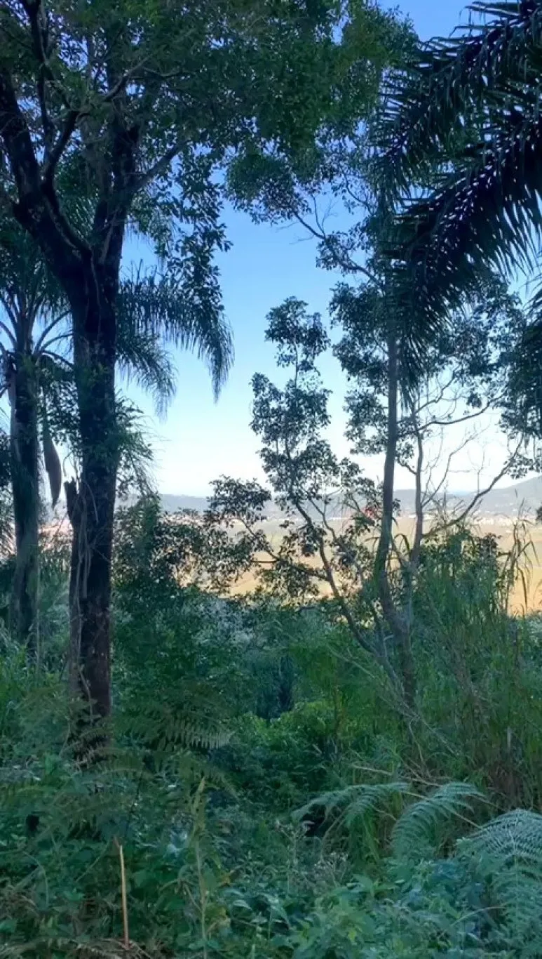 Imóvel — foto 5