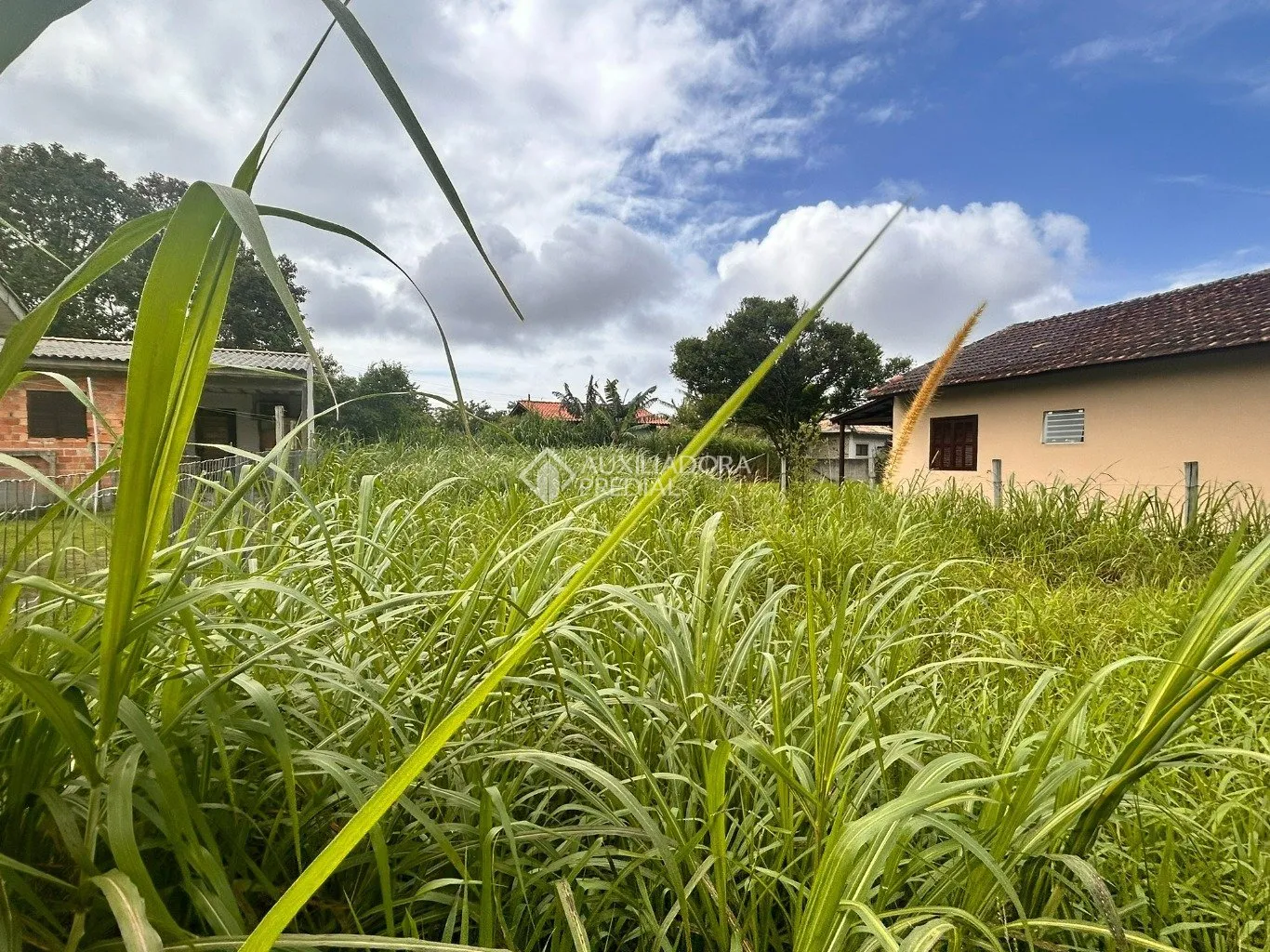 Imóvel — foto 3