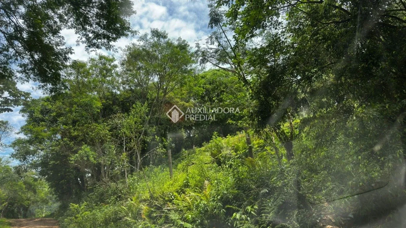 Imóvel — foto 6