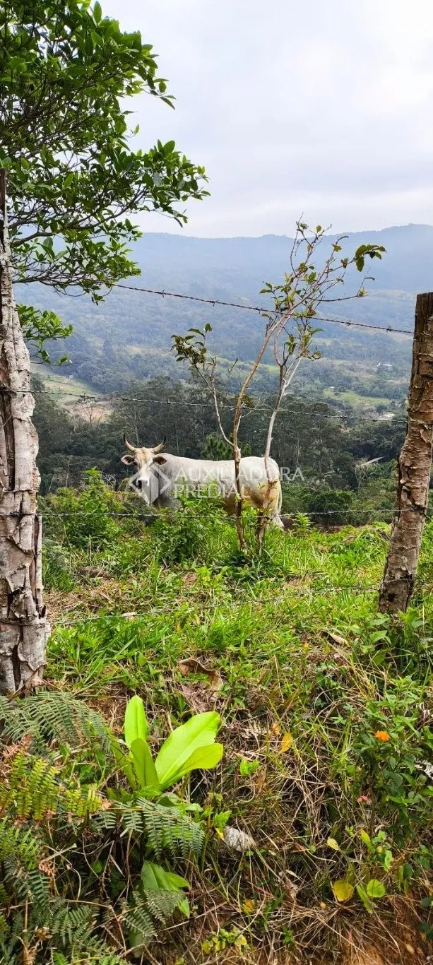 Imóvel — foto 6