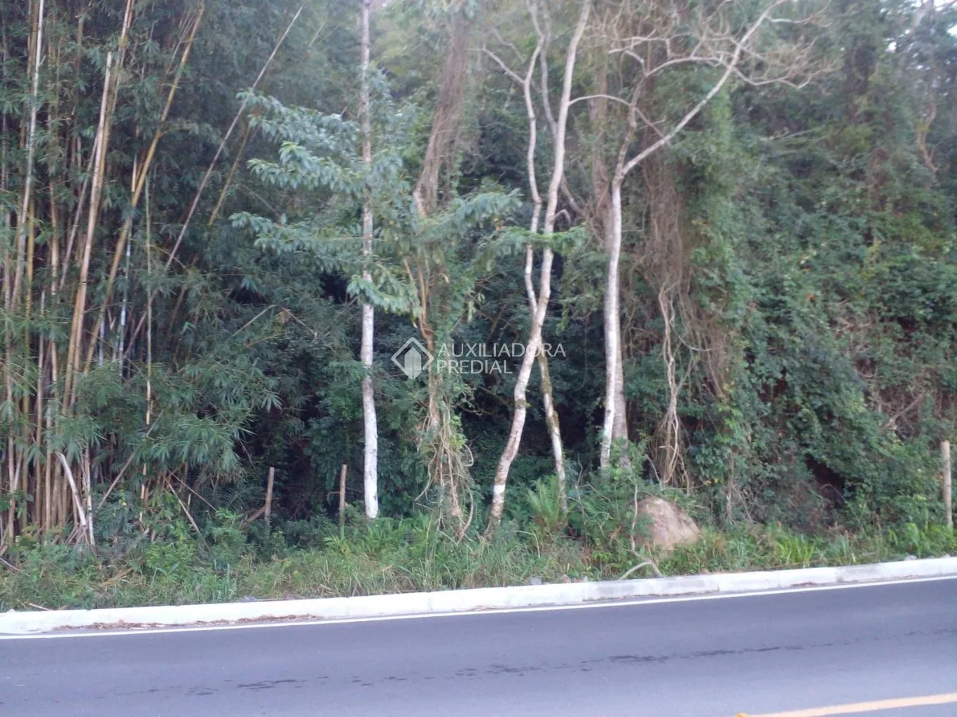 Imóvel — foto 5