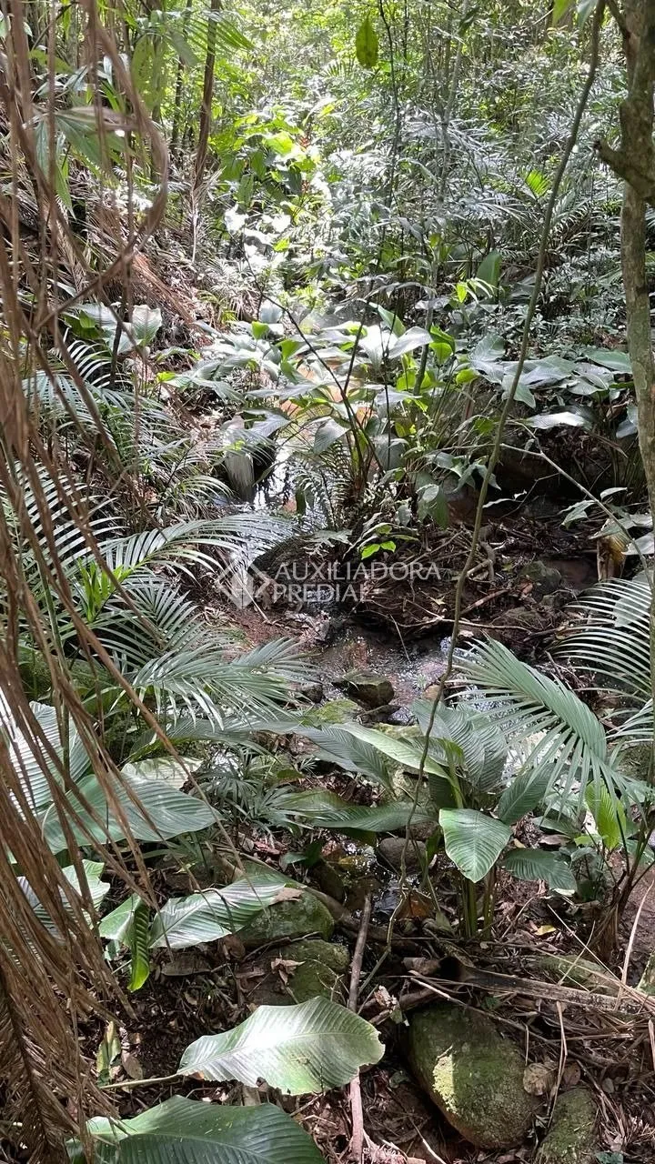 Imóvel — foto 4