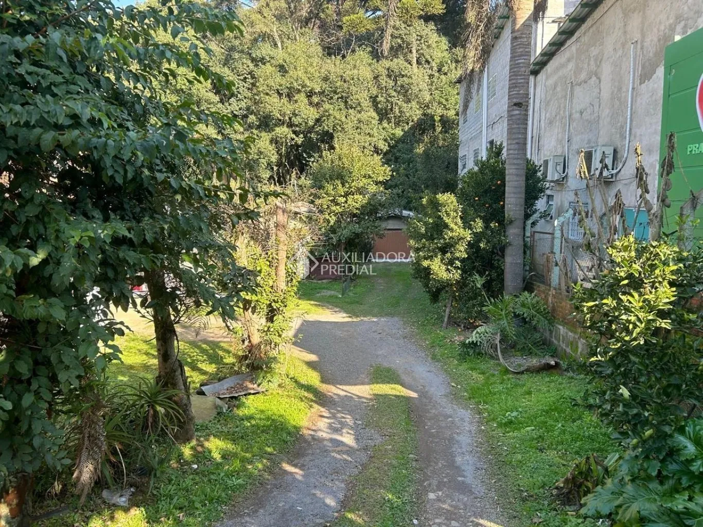 Imóvel — foto 7