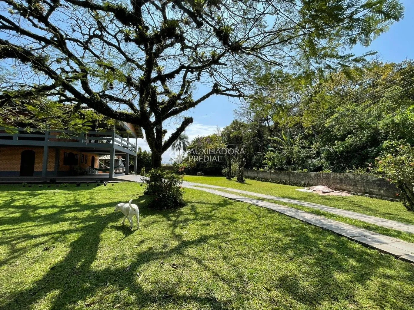 Imóvel — foto 7