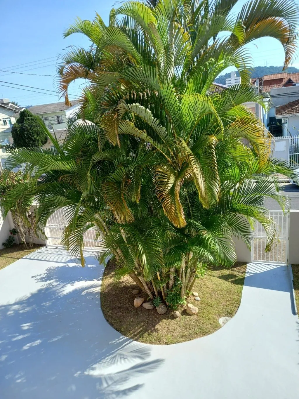 Imóvel — foto 7