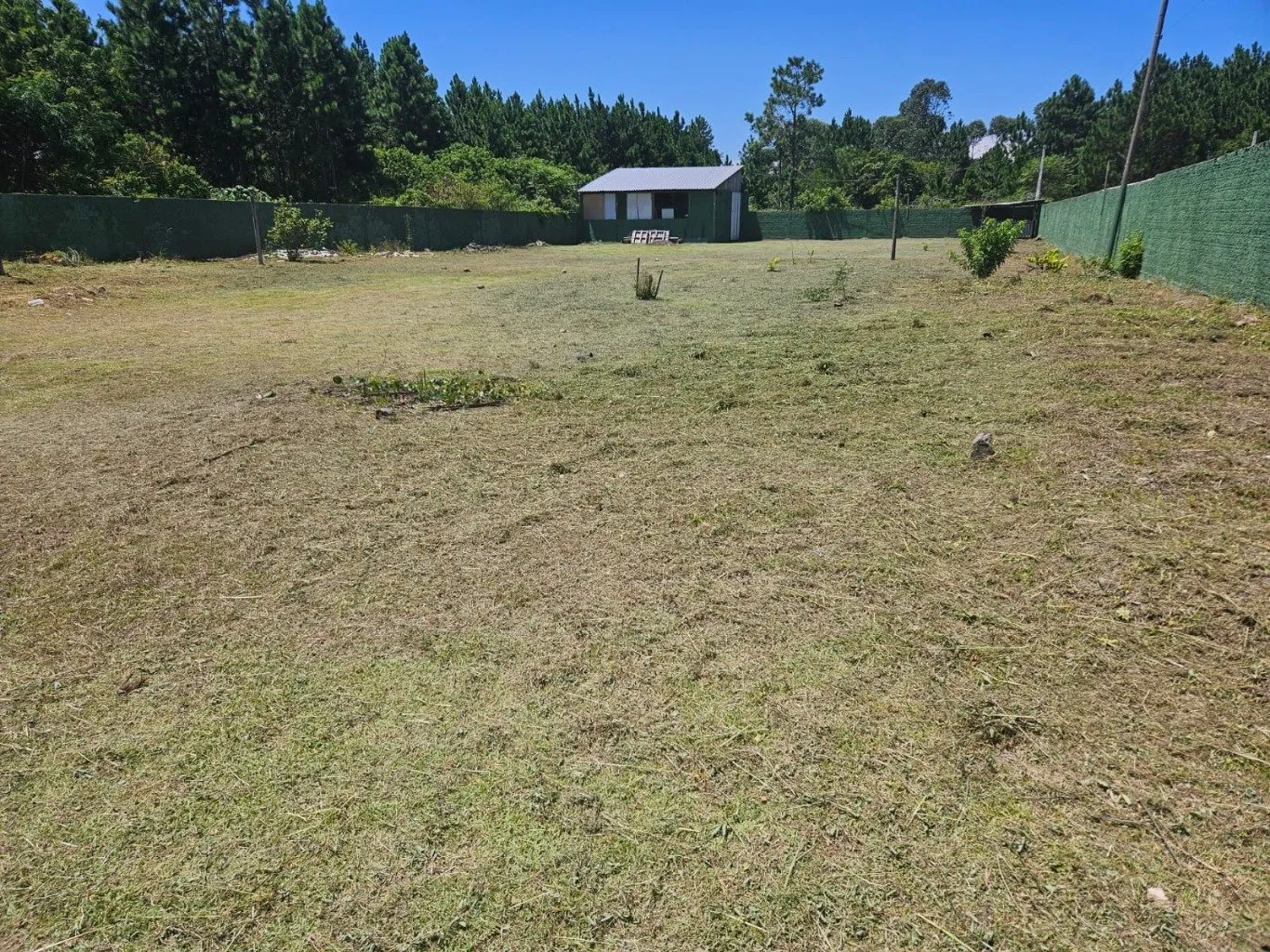 Imóvel — foto 3