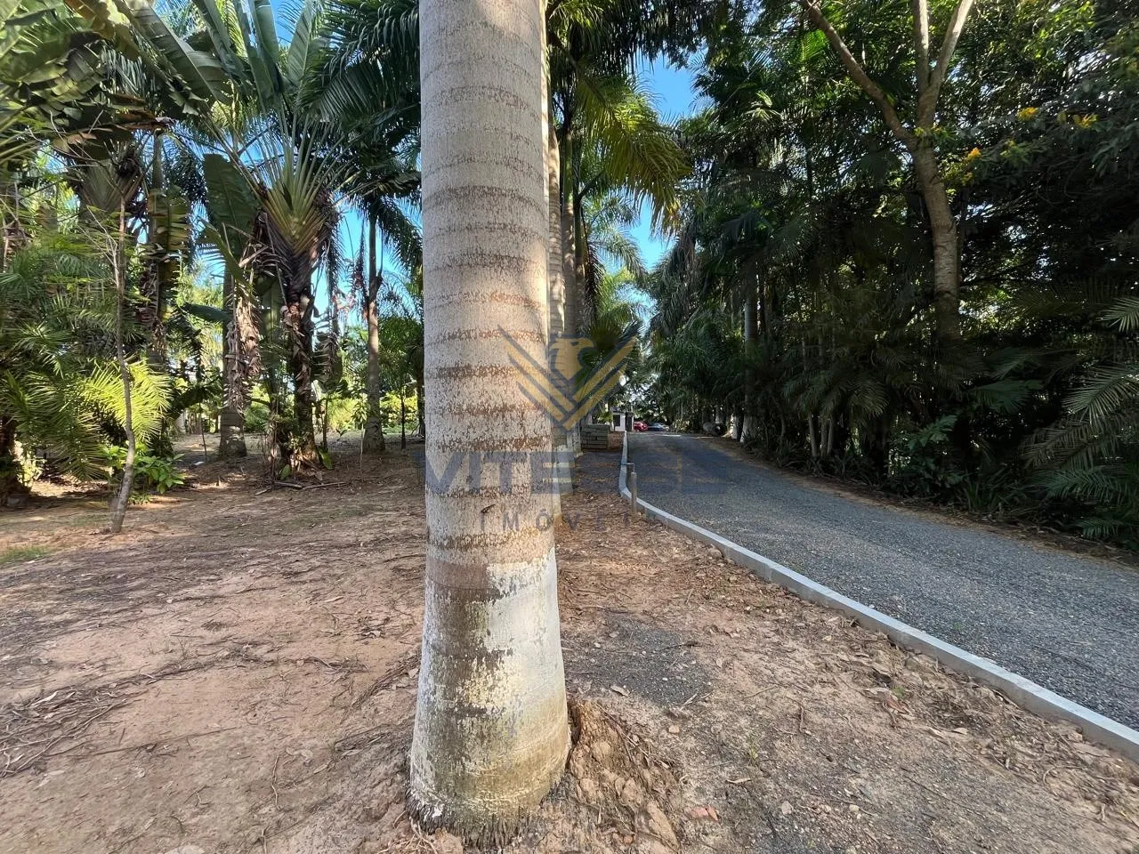 Chácara com localização perfeita a apenas 5min do centro de Indaial! — foto 2