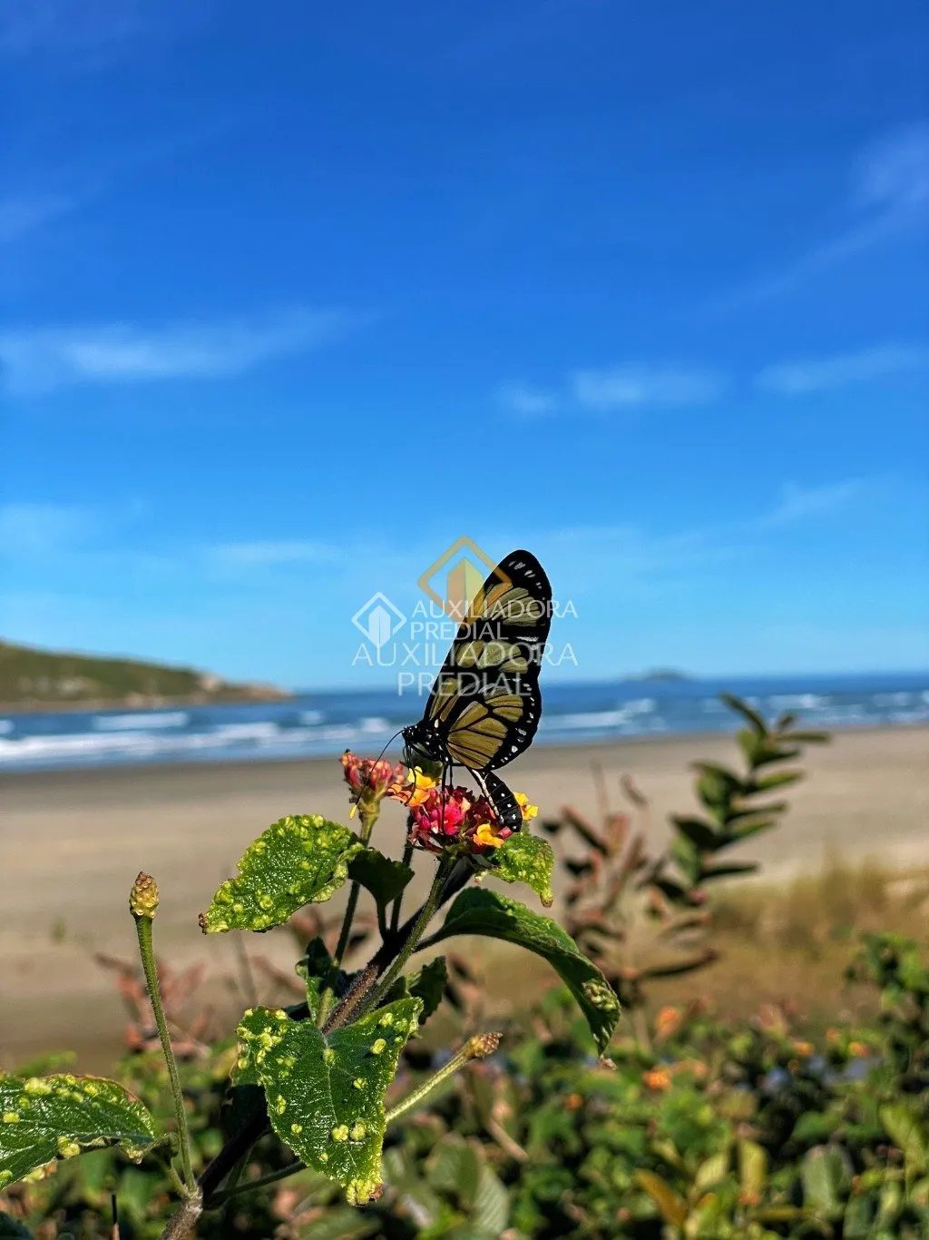 Imóvel — foto 4