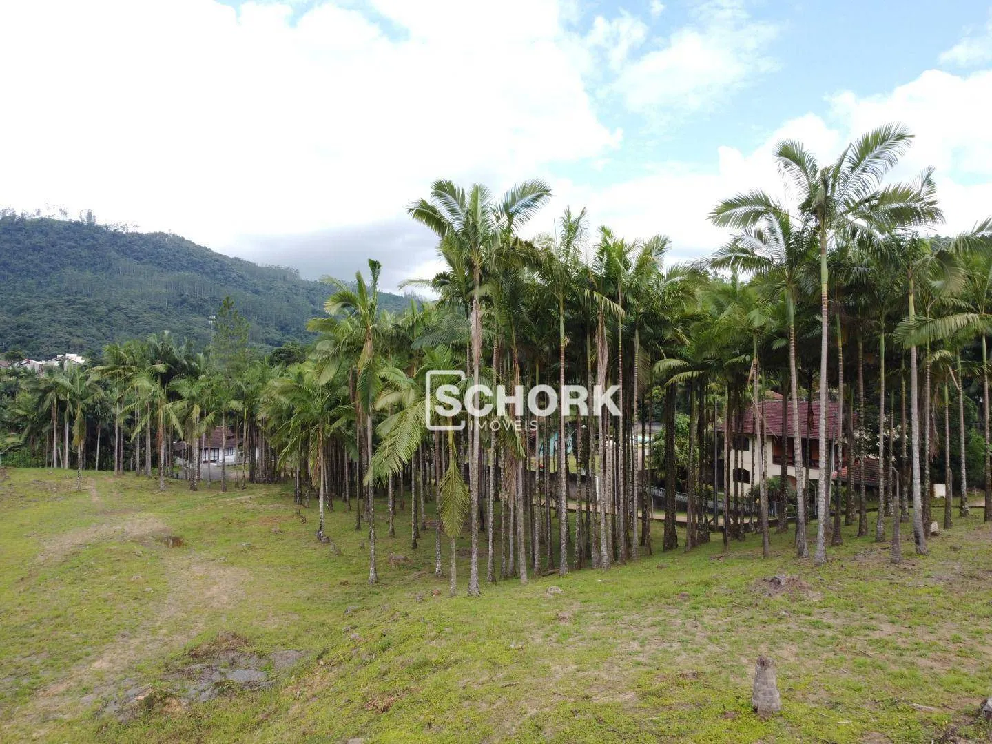 Terreno à venda, 14730 m por R$ 1.890.000,00 - Centro - Benedito Novo/SC — foto 4
