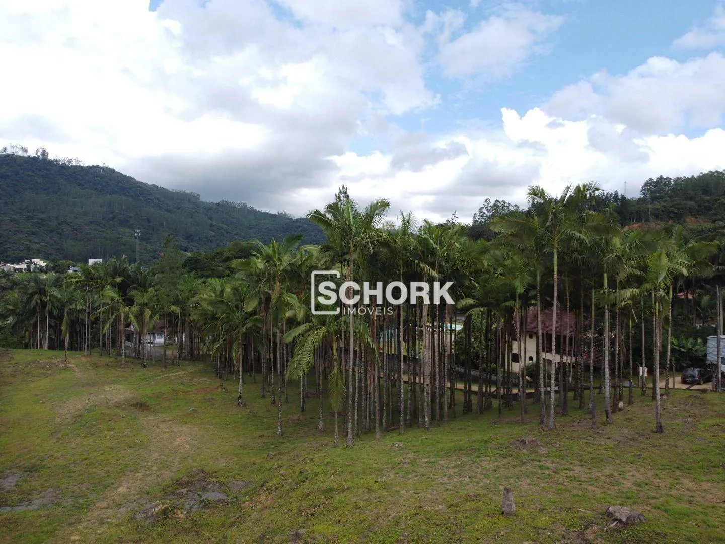 Terreno à venda, 14730 m por R$ 1.890.000,00 - Centro - Benedito Novo/SC - foto 1