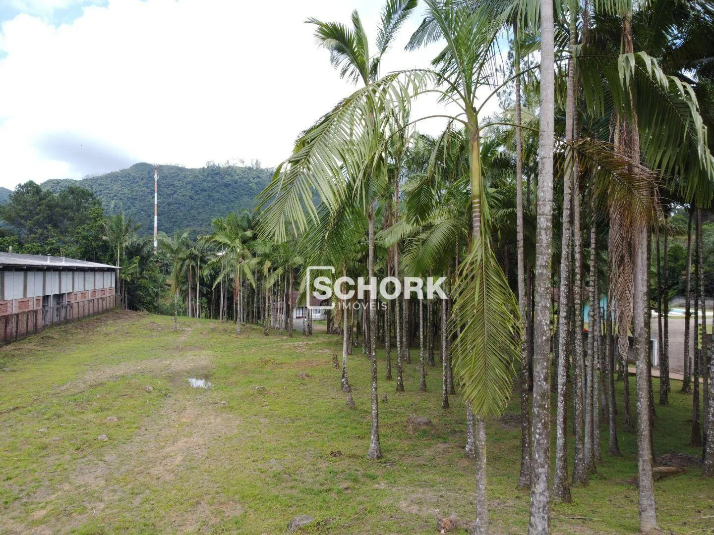 Terreno à venda, 14730 m por R$ 1.890.000,00 - Centro - Benedito Novo/SC — foto 6