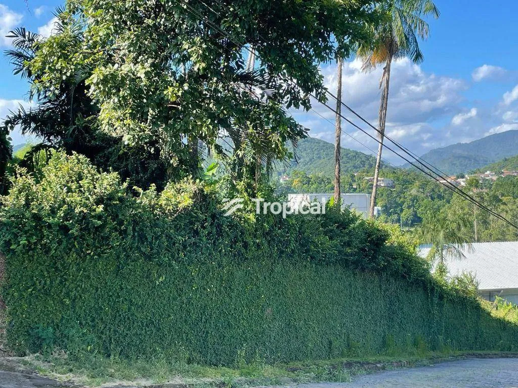 Terreno à venda, 574 m por R$ 280.000,00 - Tribess - Blumenau/SC — foto 6