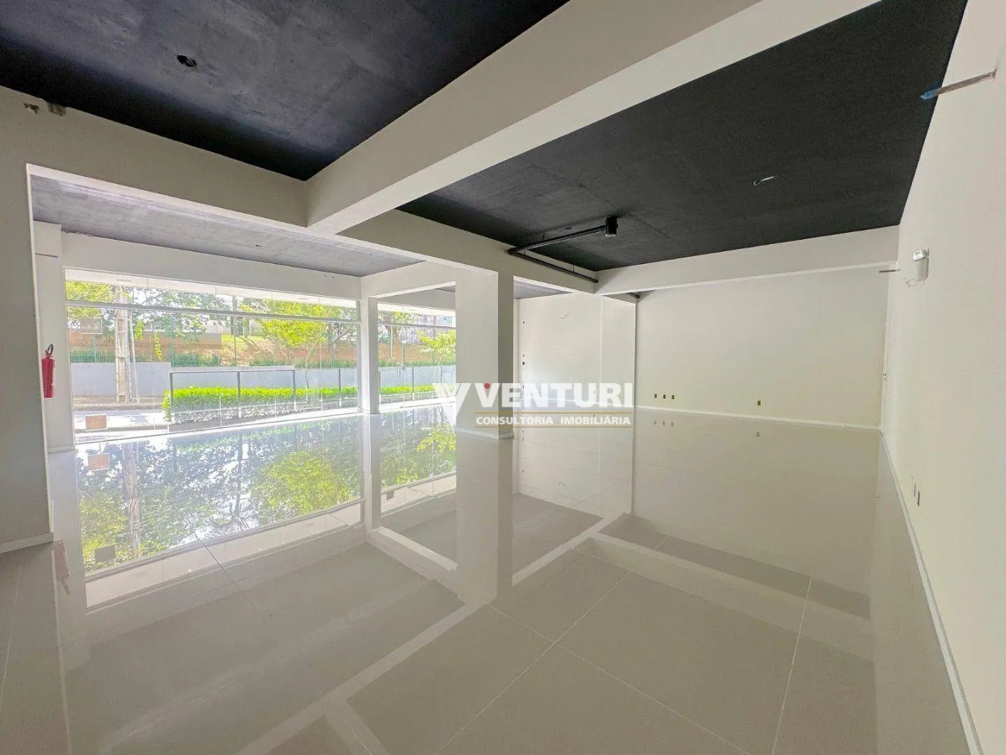 Sala próximo Forum e Parque Ramiro - foto 1