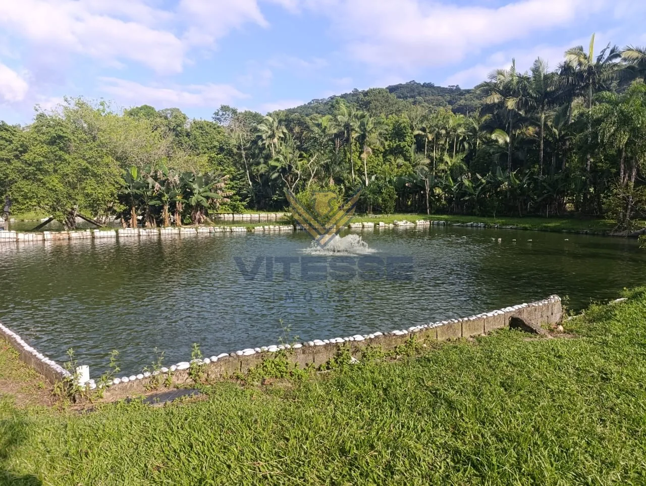 CHACARA EM RIO DOS CEDROS. — foto 3