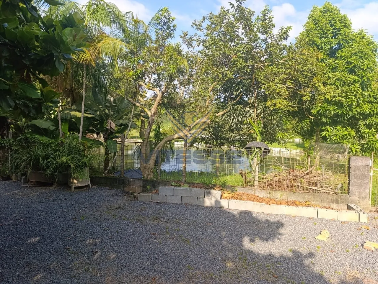 CHACARA EM RIO DOS CEDROS. — foto 7