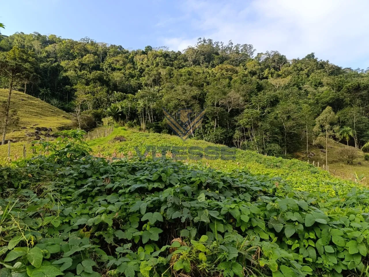 SITIO NA MULDE. — foto 4