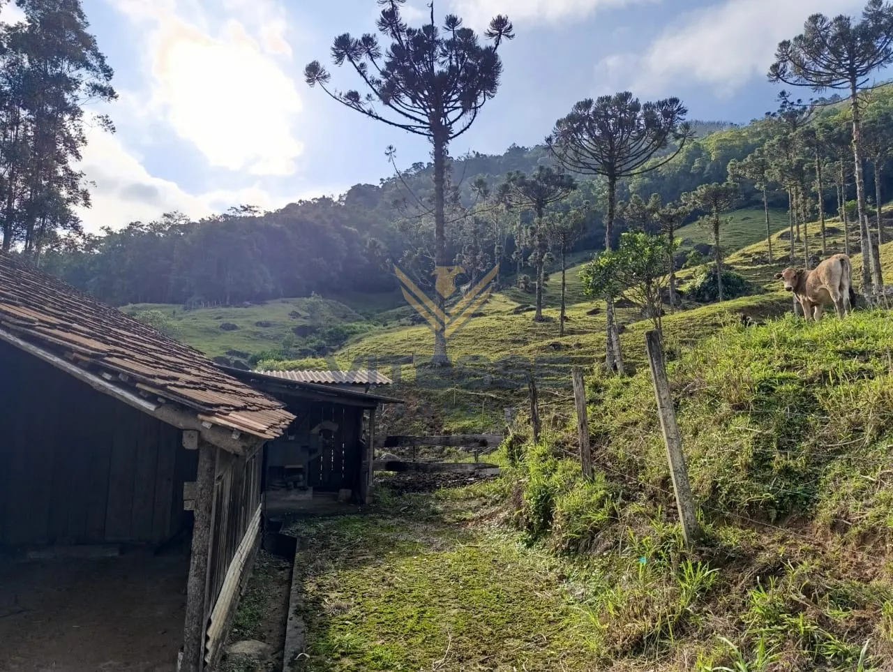 SITIO NA MULDE. — foto 6