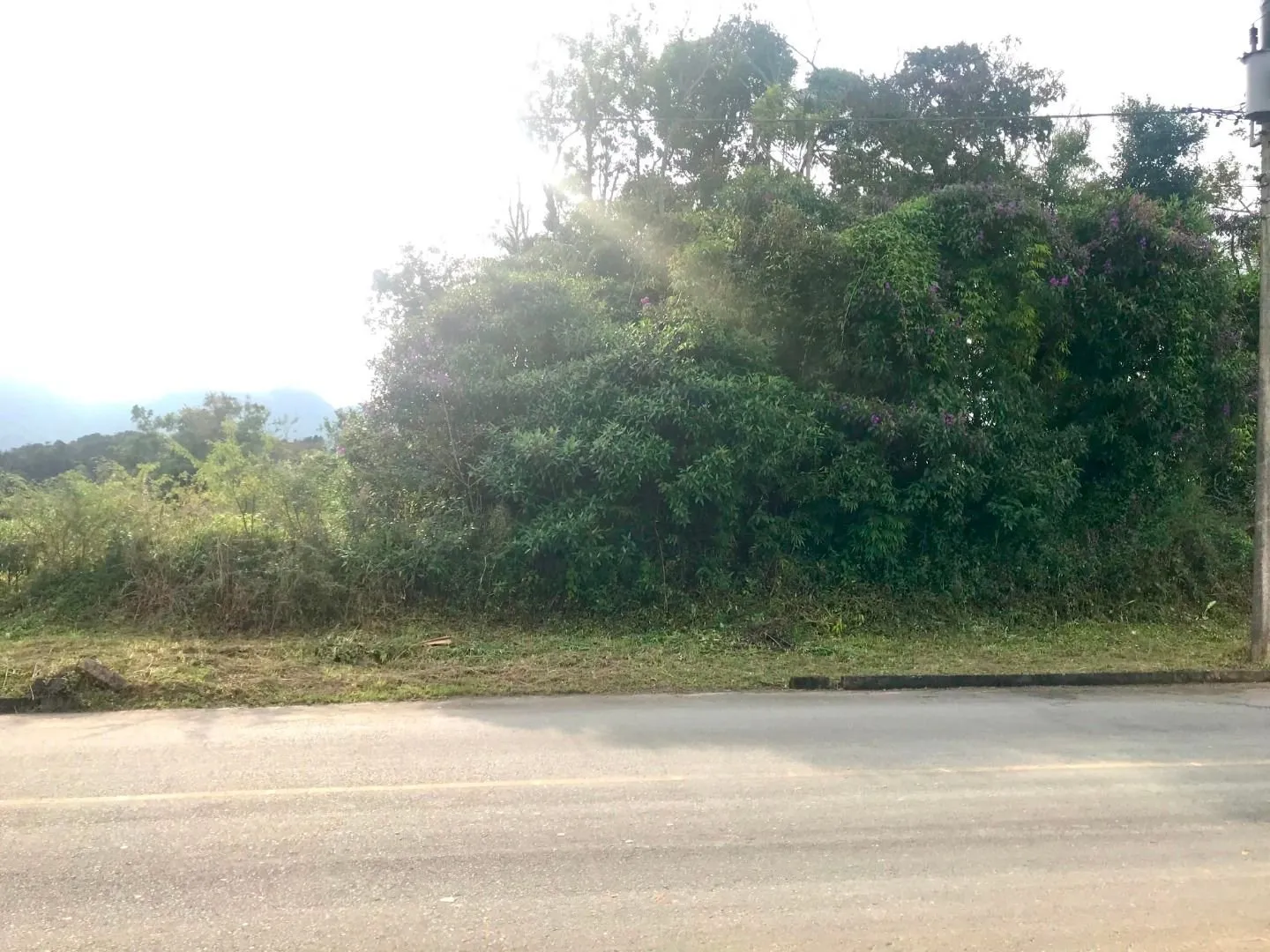 Terreno à venda no bairro Capitais em Timbó/SC - foto 1